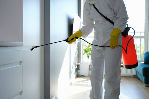 Best Certified Mold Removal  in Crooked River Ranch, OR