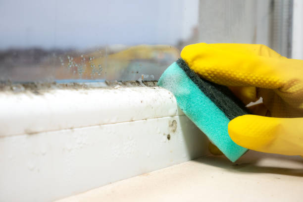 Best Mold Cleaning Services  in Crooked River Ranch, OR